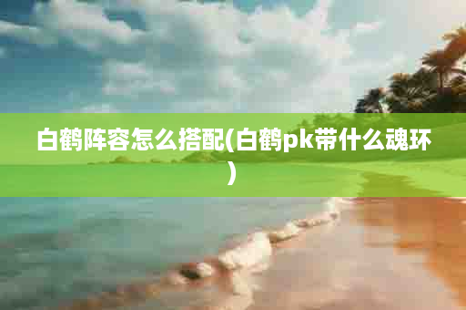 白鹤阵容怎么搭配(白鹤pk带什么魂环)