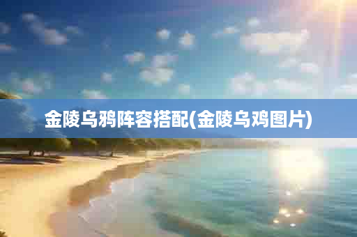 金陵乌鸦阵容搭配(金陵乌鸡图片)