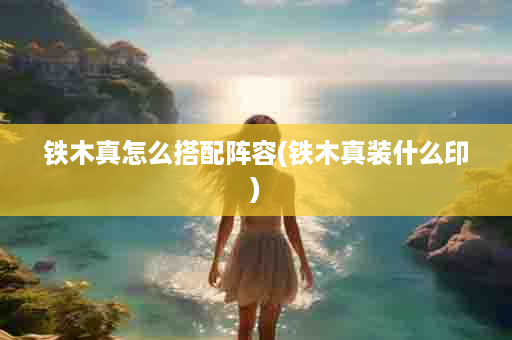 铁木真怎么搭配阵容(铁木真装什么印)