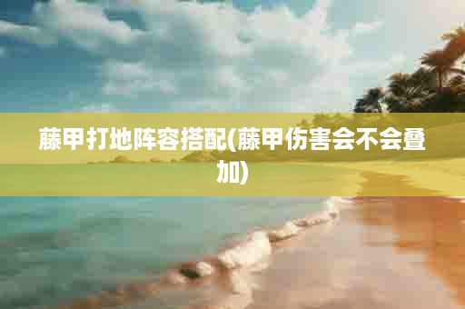 藤甲打地阵容搭配(藤甲伤害会不会叠加)