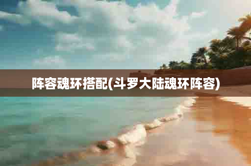 阵容魂环搭配(斗罗大陆魂环阵容)