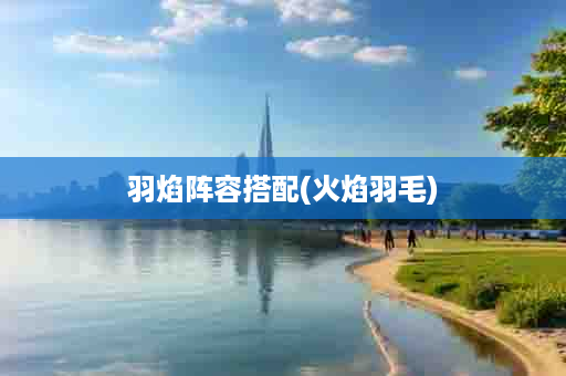 羽焰阵容搭配(火焰羽毛)