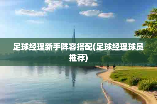 足球经理新手阵容搭配(足球经理球员推荐)