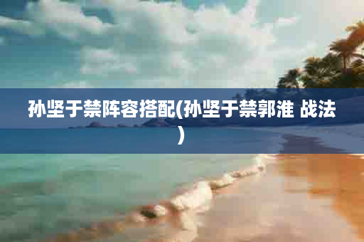 孙坚于禁阵容搭配(孙坚于禁郭淮 战法)