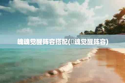 魄魂觉醒阵容搭配(挙魂觉醒阵容)