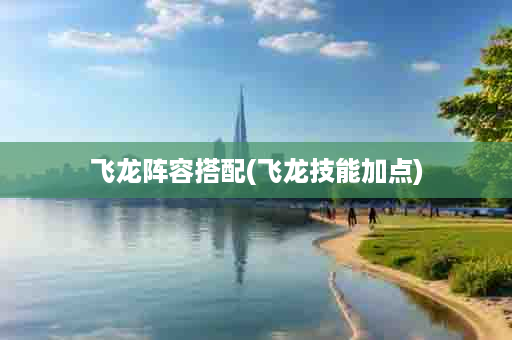 飞龙阵容搭配(飞龙技能加点)