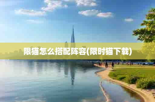 限猫怎么搭配阵容(限时猫下载)