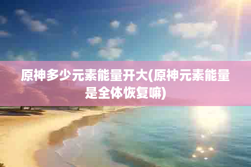 原神多少元素能量开大(原神元素能量是全体恢复嘛)