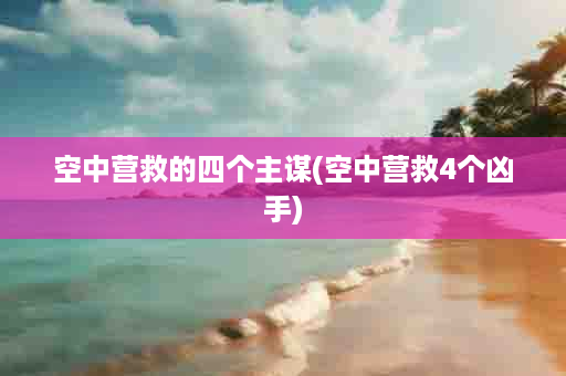 空中营救的四个主谋(空中营救4个凶手)