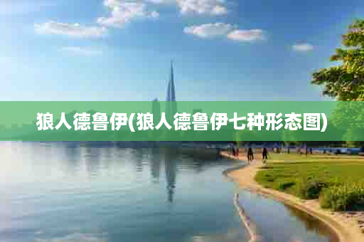 狼人德鲁伊(狼人德鲁伊七种形态图)