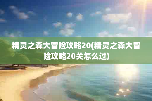 精灵之森大冒险攻略20(精灵之森大冒险攻略20关怎么过)