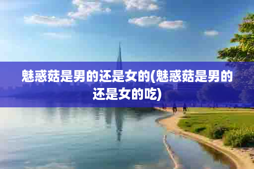 魅惑菇是男的还是女的(魅惑菇是男的还是女的吃)
