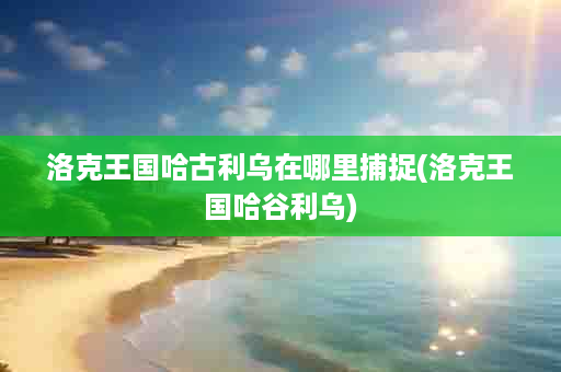 洛克王国哈古利乌在哪里捕捉(洛克王国哈谷利乌)