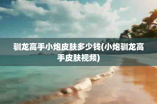 驯龙高手小炮皮肤多少钱(小炮驯龙高手皮肤视频)