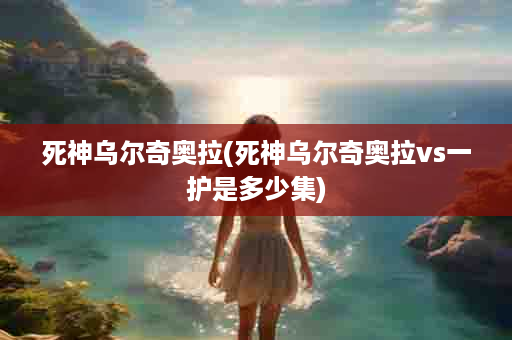 死神乌尔奇奥拉(死神乌尔奇奥拉vs一护是多少集)