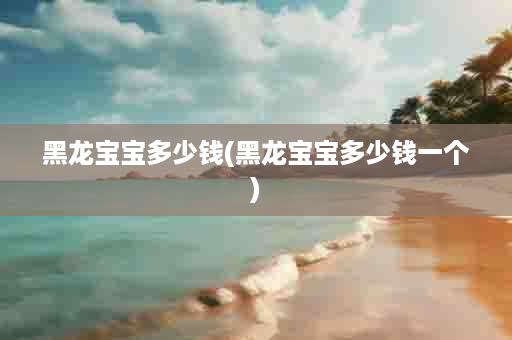 黑龙宝宝多少钱(黑龙宝宝多少钱一个)