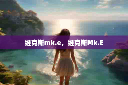 维克斯mk.e，维克斯Mk.E