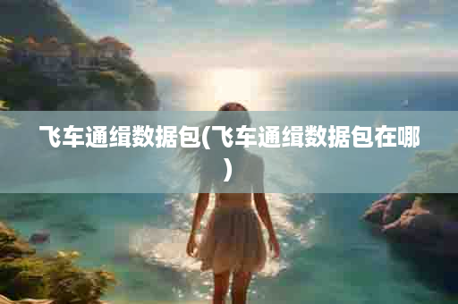 飞车通缉数据包(飞车通缉数据包在哪)