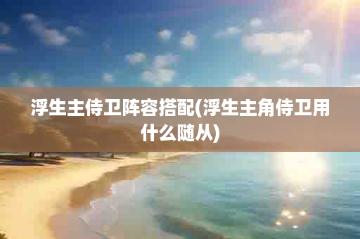 浮生主侍卫阵容搭配(浮生主角侍卫用什么随从)
