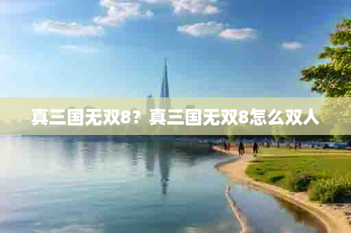 真三国无双8？真三国无双8怎么双人