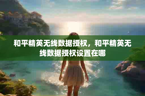 和平精英无线数据授权，和平精英无线数据授权设置在哪