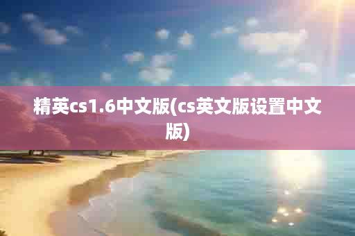 精英cs1.6中文版(cs英文版设置中文版)