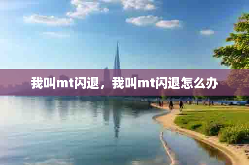 我叫mt闪退，我叫mt闪退怎么办