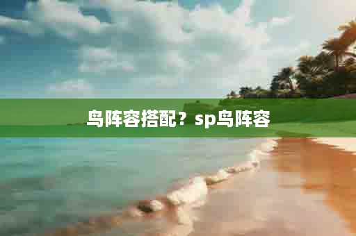 鸟阵容搭配？sp鸟阵容