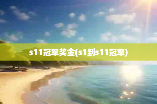 s11冠军奖金(s1到s11冠军)