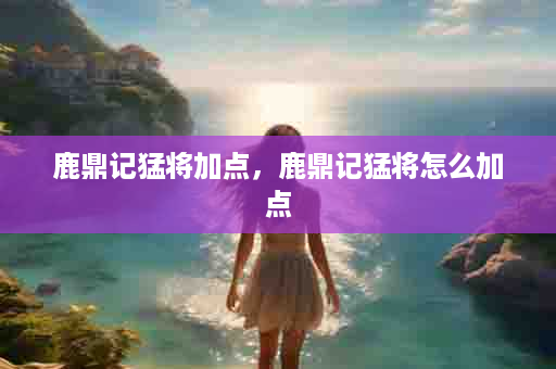 鹿鼎记猛将加点，鹿鼎记猛将怎么加点