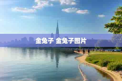 金兔子 金兔子图片
