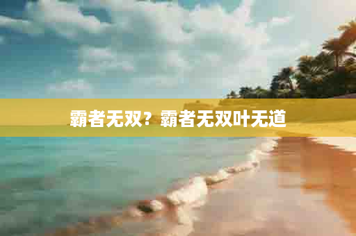 霸者无双？霸者无双叶无道