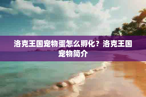 洛克王国宠物蛋怎么孵化？洛克王国宠物简介