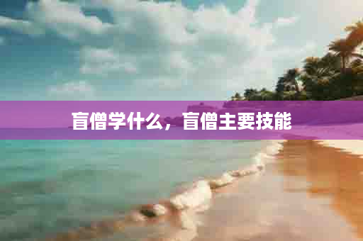 盲僧学什么，盲僧主要技能
