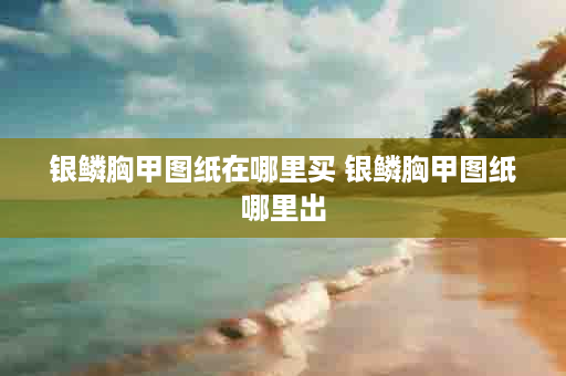 银鳞胸甲图纸在哪里买 银鳞胸甲图纸哪里出