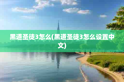 黑道圣徒3怎么(黑道圣徒3怎么设置中文)