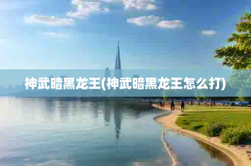 神武暗黑龙王(神武暗黑龙王怎么打)