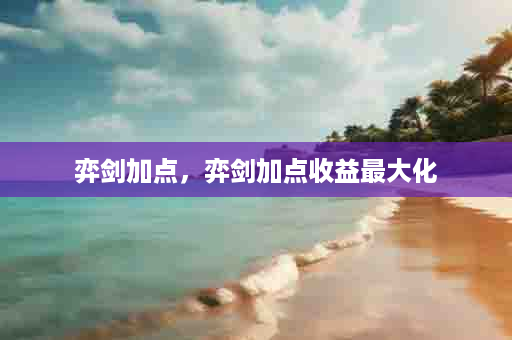 弈剑加点，弈剑加点收益最大化