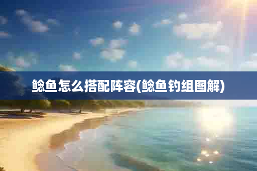 鲶鱼怎么搭配阵容(鲶鱼钓组图解)
