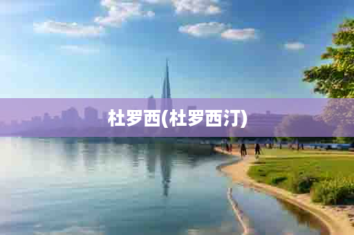 杜罗西(杜罗西汀)
