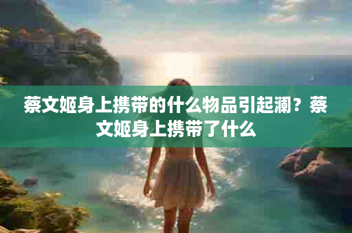 蔡文姬身上携带的什么物品引起澜？蔡文姬身上携带了什么