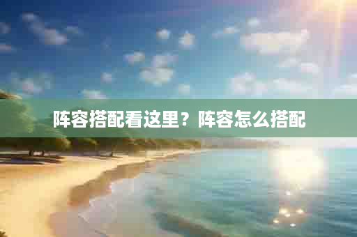 阵容搭配看这里？阵容怎么搭配