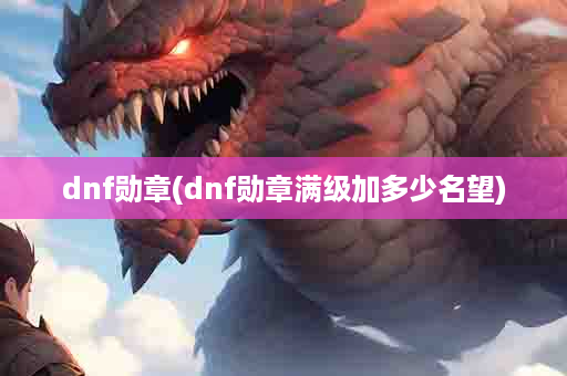 dnf勋章(dnf勋章满级加多少名望)