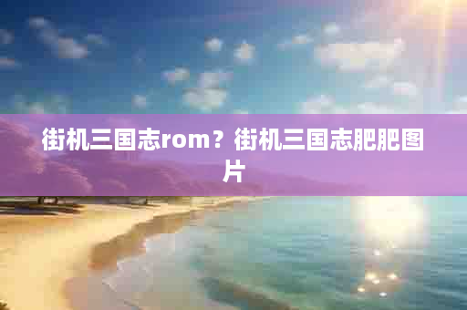 街机三国志rom？街机三国志肥肥图片