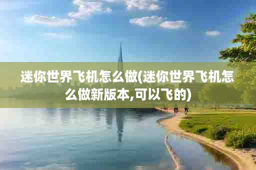 迷你世界飞机怎么做(迷你世界飞机怎么做新版本,可以飞的)