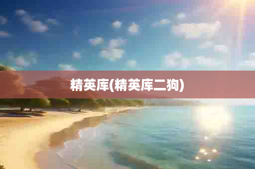 精英库(精英库二狗)